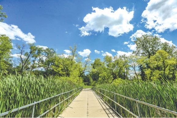 Builder Images 5 Out of 12