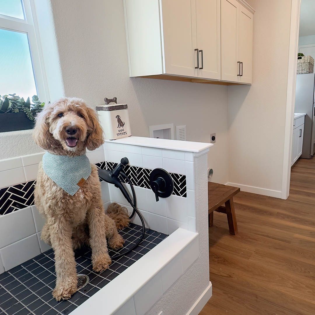 Builder Images 9 Out of 19