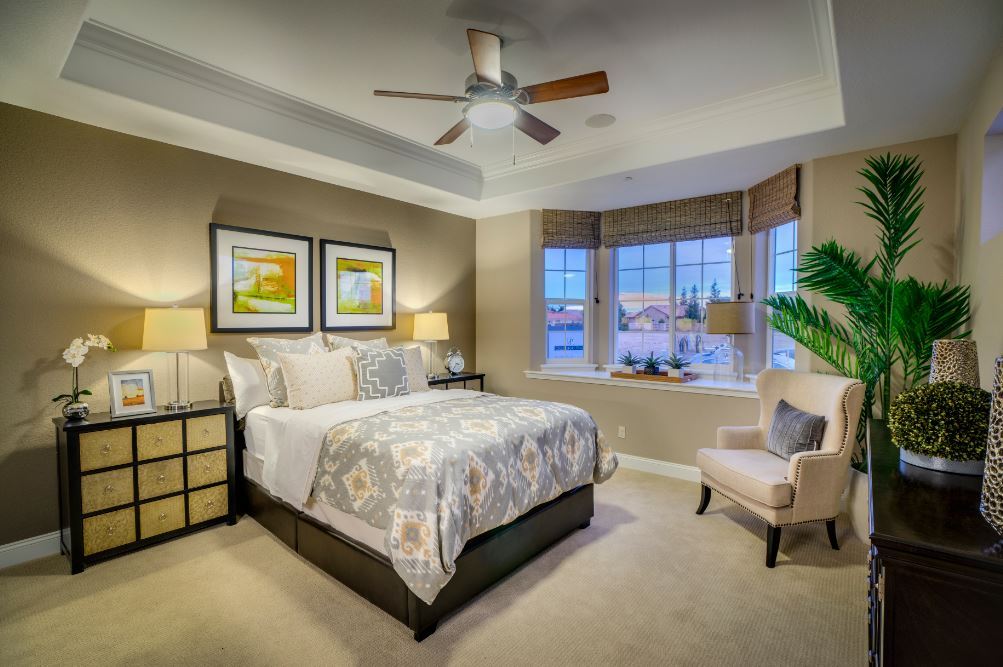 Builder Images 8 Out of 24