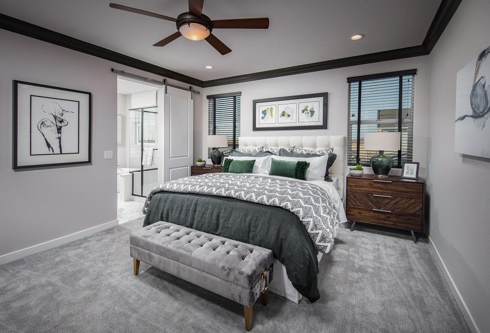 Builder Images 7 Out of 24