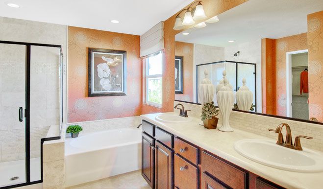 Constructor Imagenes 2 De 13