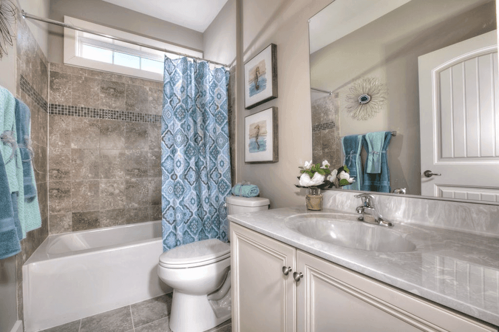 Constructor Imagenes 17 De 24