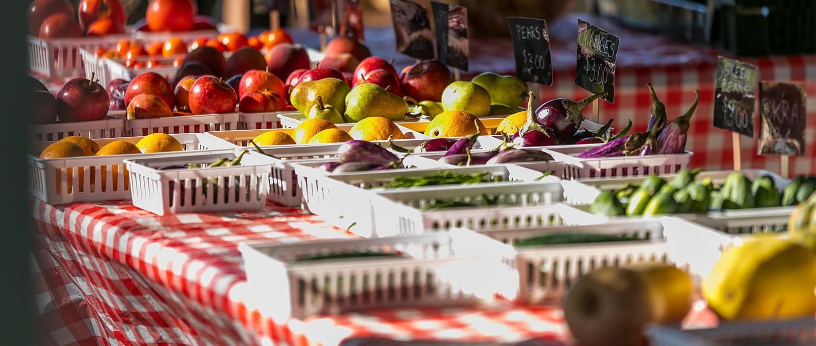 Builder Images 9 Out of 17