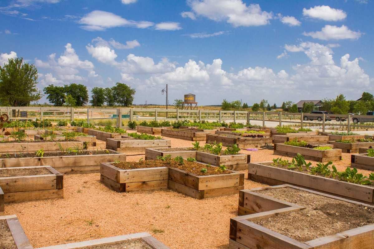 Builder Images 14 Out of 17