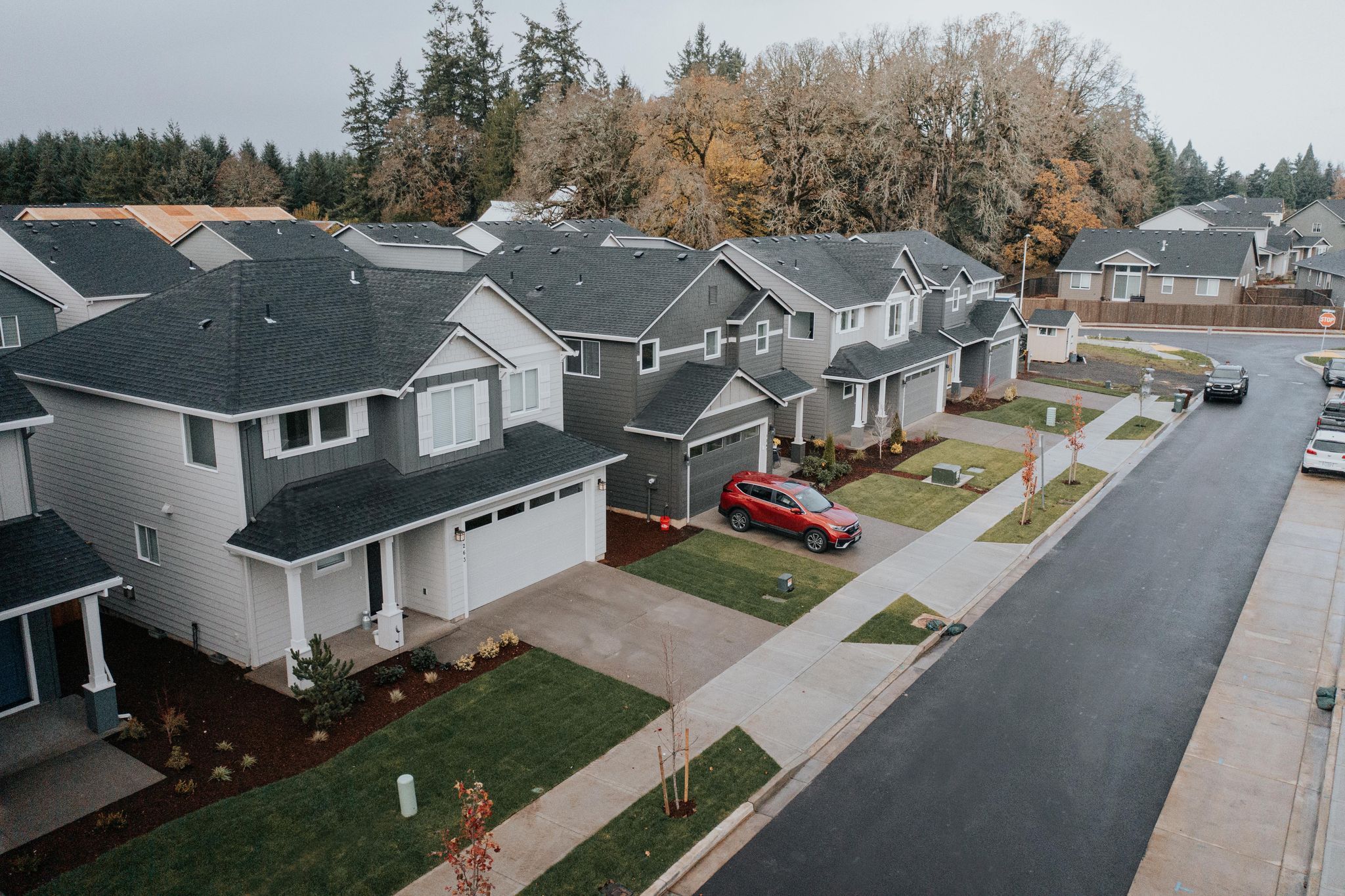 Constructor Imagenes 23 De 24