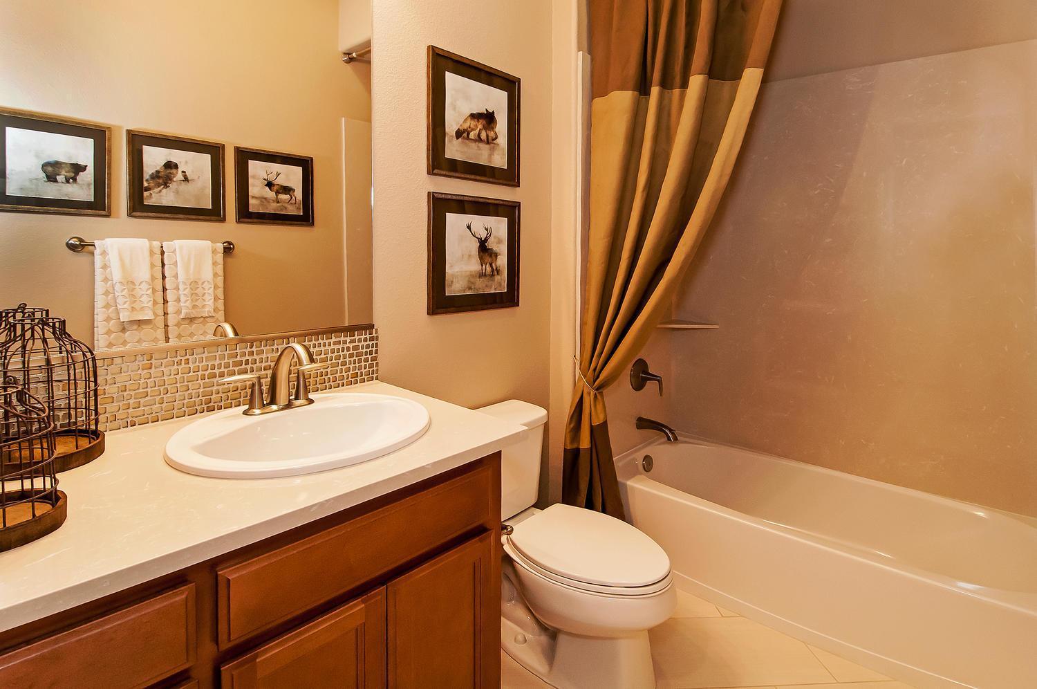 Constructor Imagenes 9 De 16