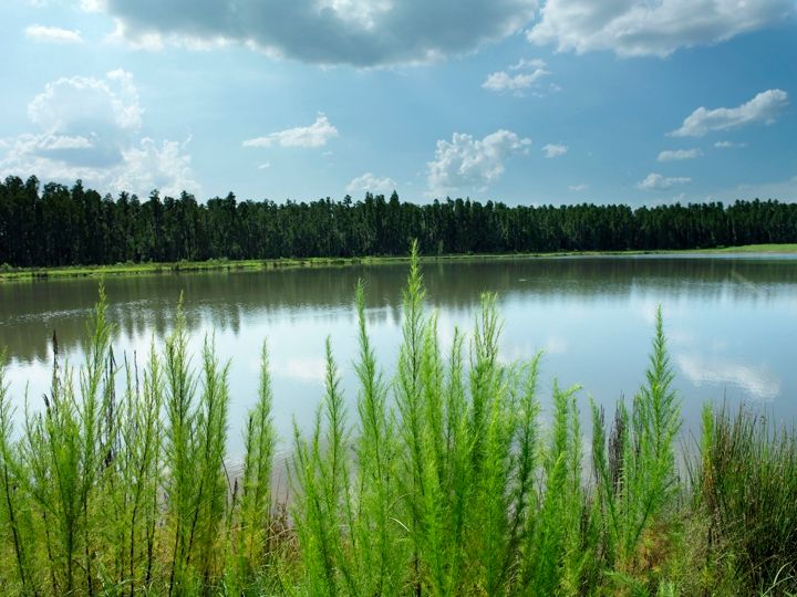 Builder Images 4 Out of 23