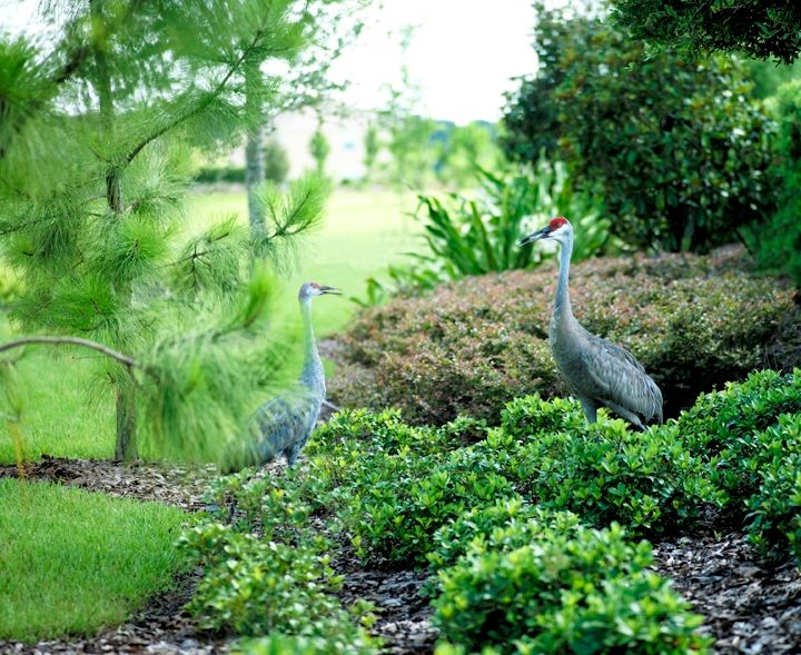 Builder Images 5 Out of 23