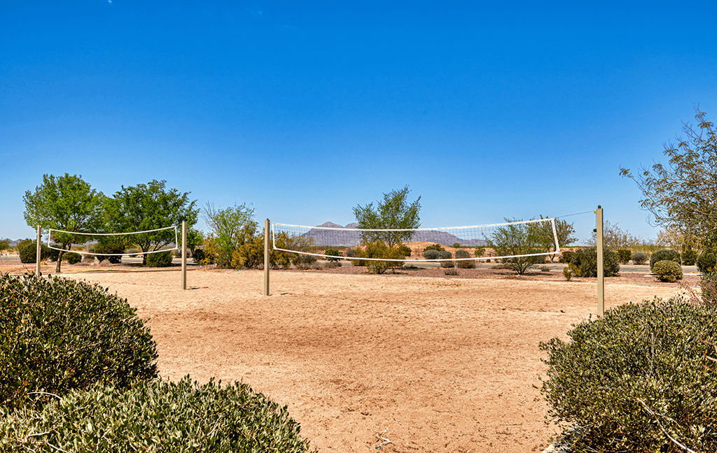 Builder Images 23 Out of 24