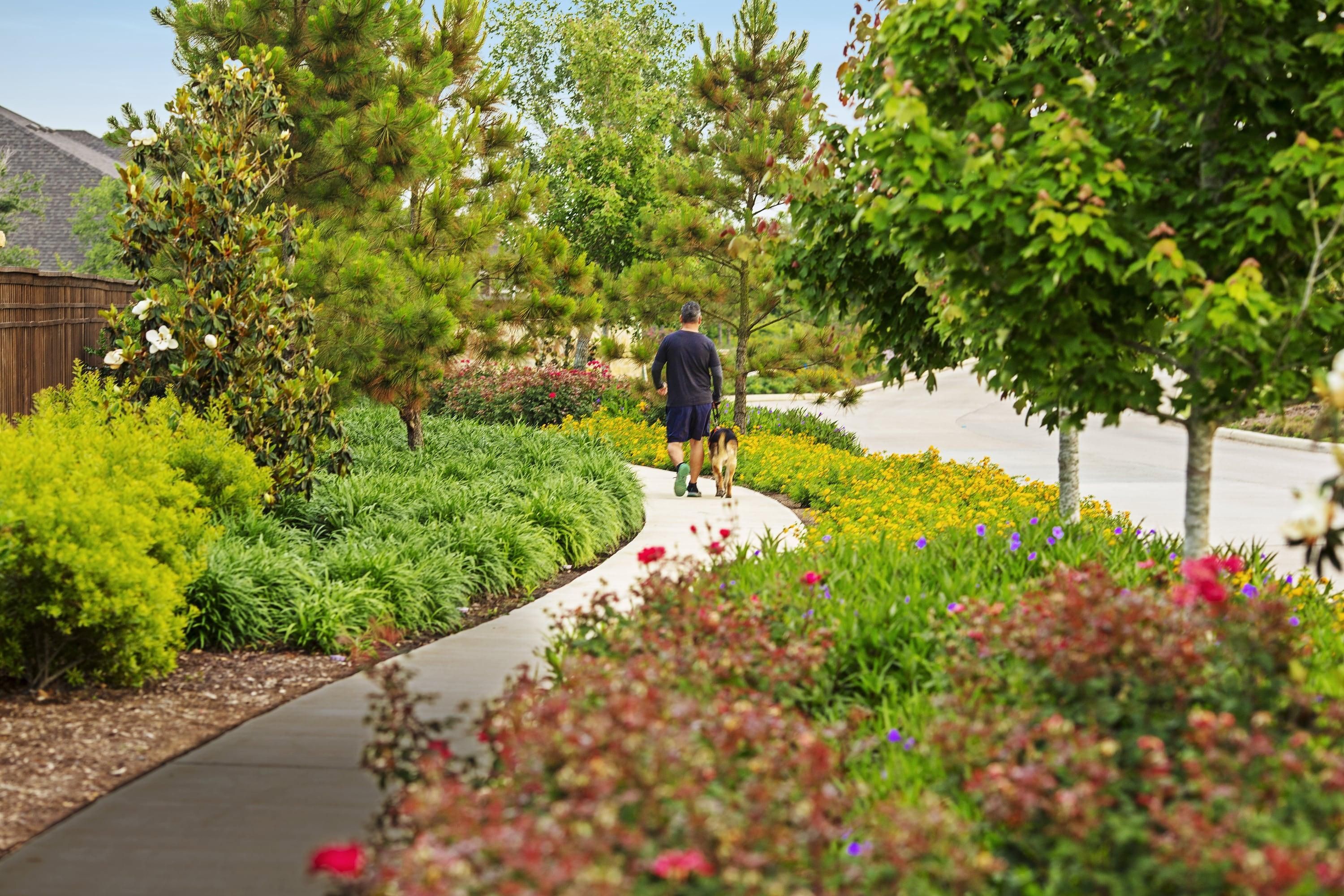 Constructor Imagenes 9 De 22