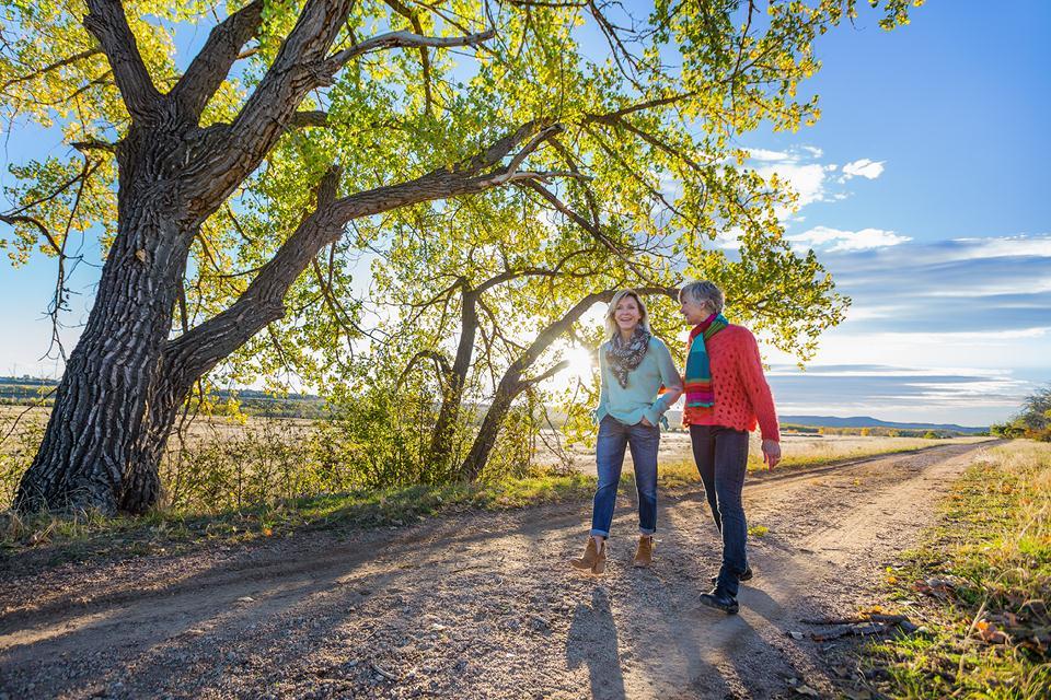 Builder Images 16 Out of 24