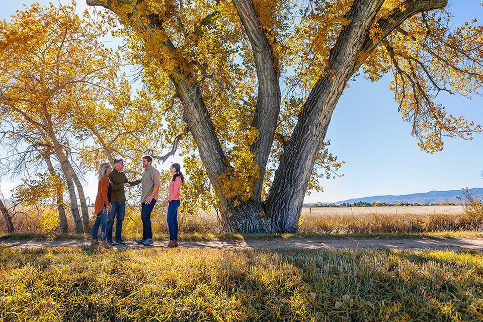 Builder Images 17 Out of 24