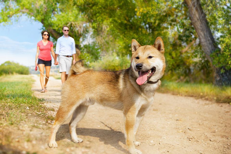 Builder Images 19 Out of 24