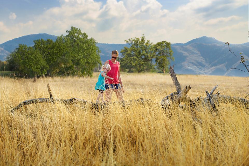 Builder Images 22 Out of 24