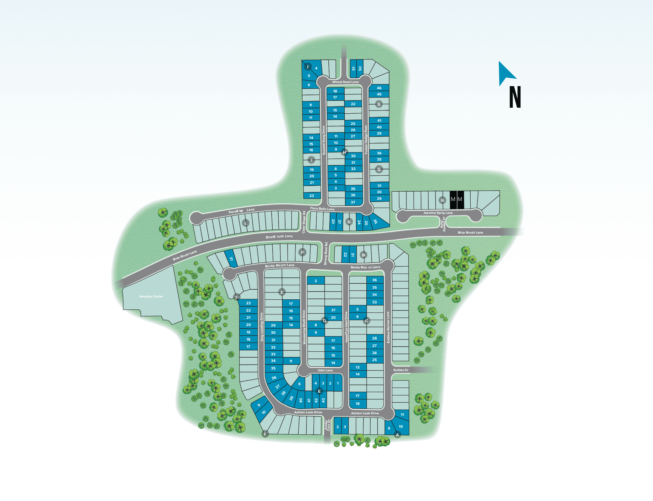 Briarwood community map