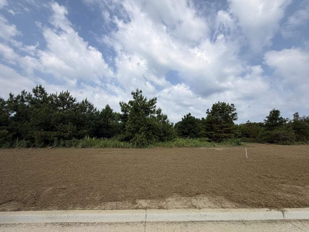 Homestead Lane Lot 18. Smiths Station, AL 36877