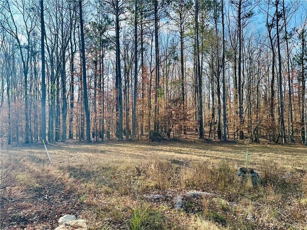 Tbd Grove Hill Road. Auburn, AL 36830