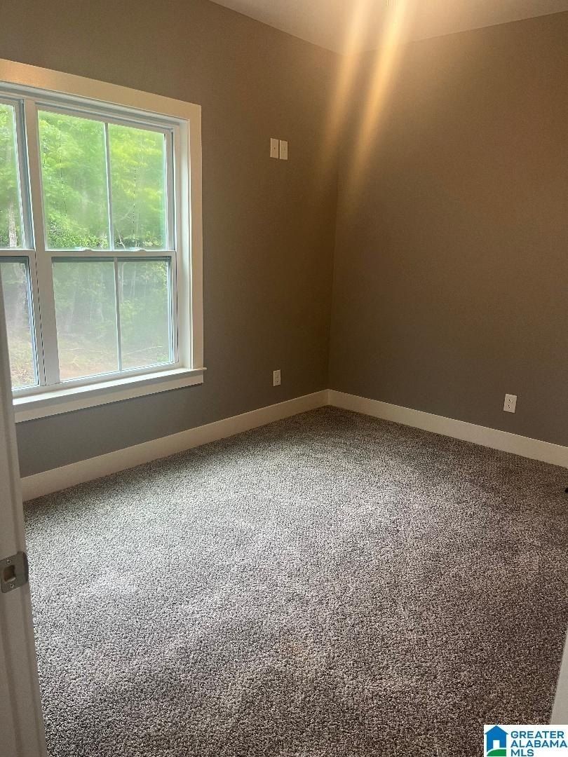 925 Indian Hill Drive. Woodstock, AL 35188