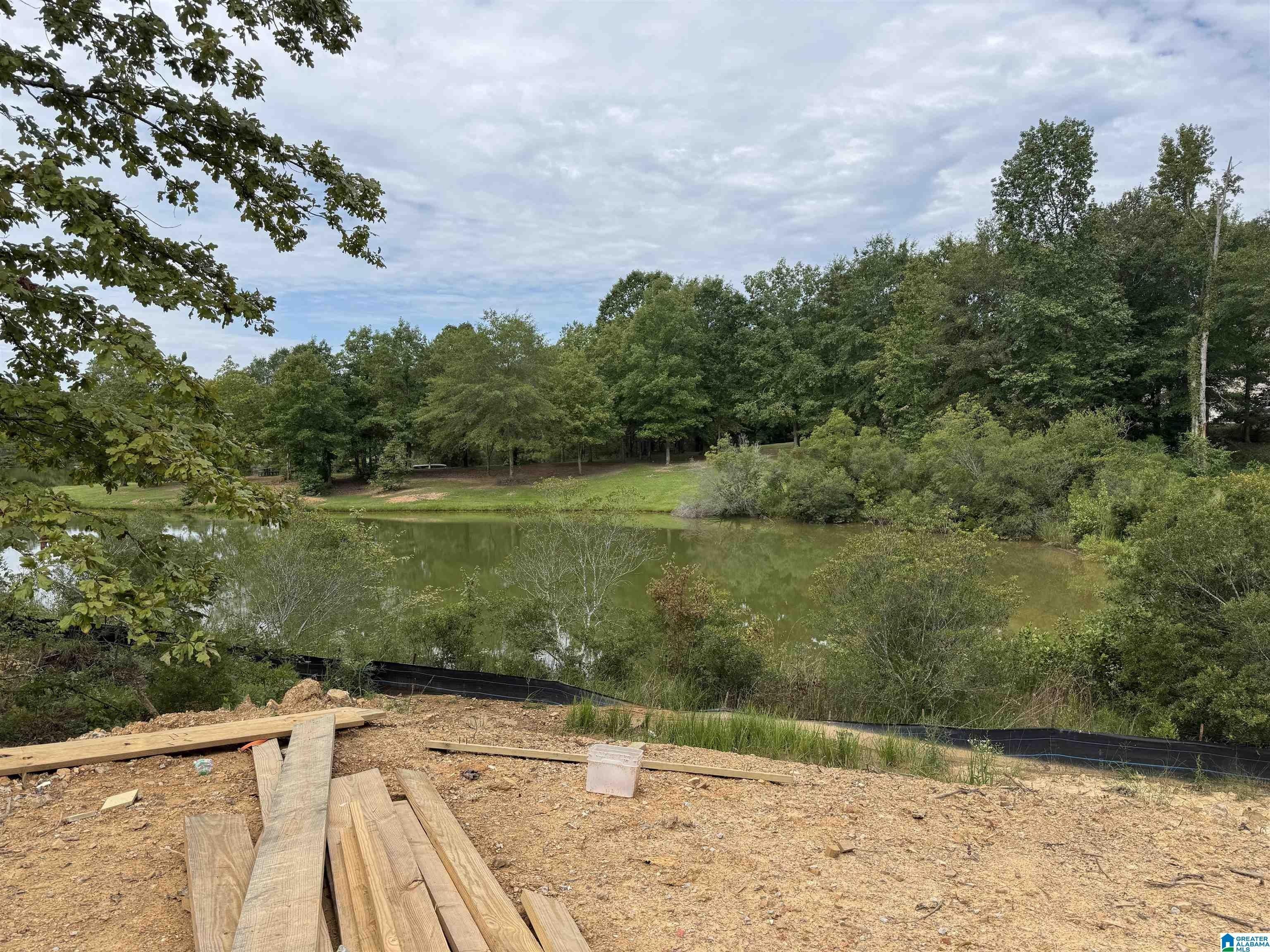 606 Emerald Trace. Chelsea, AL 35043