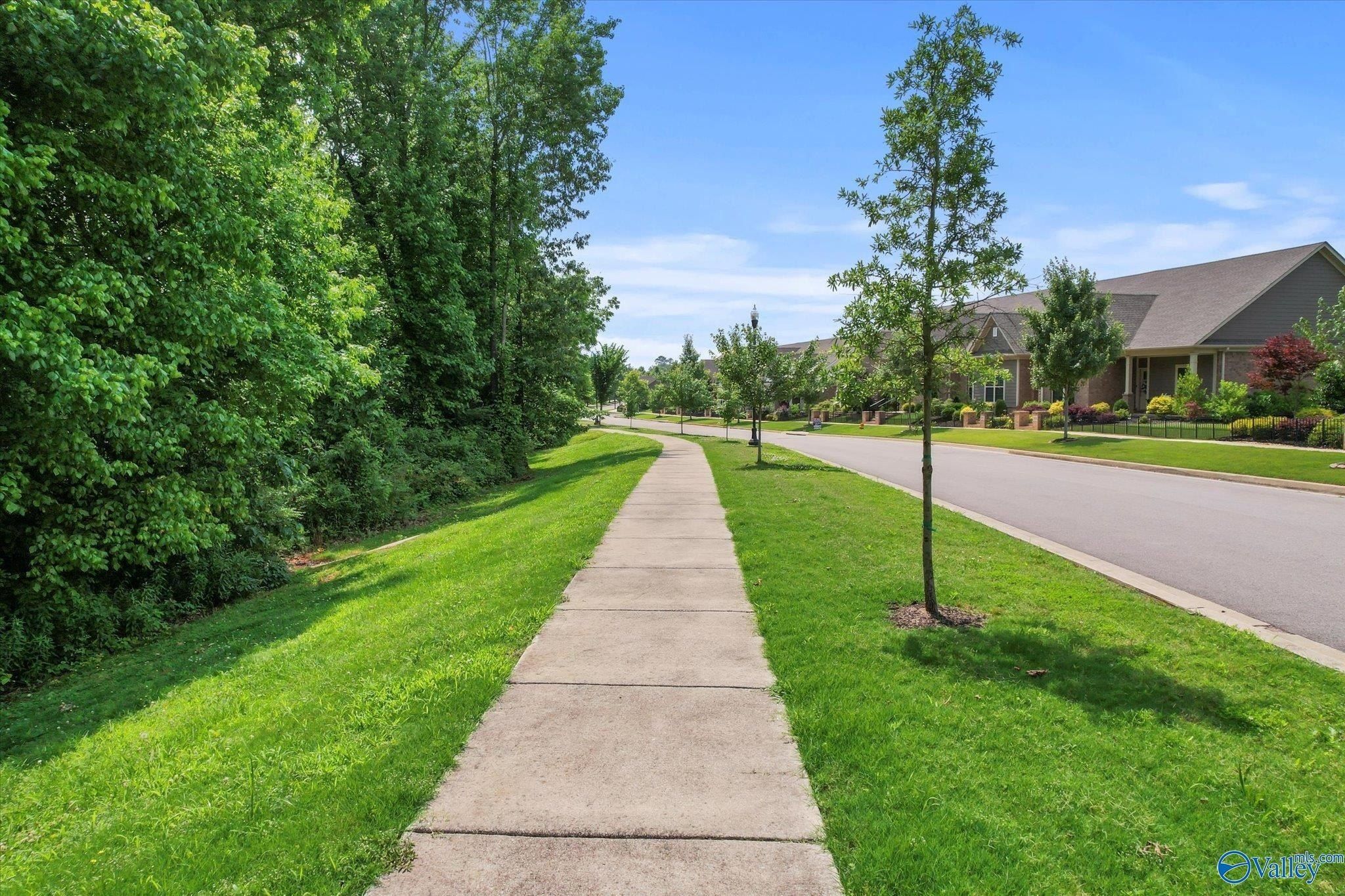 28954 Cottage Stone Place. Madison, AL 35756