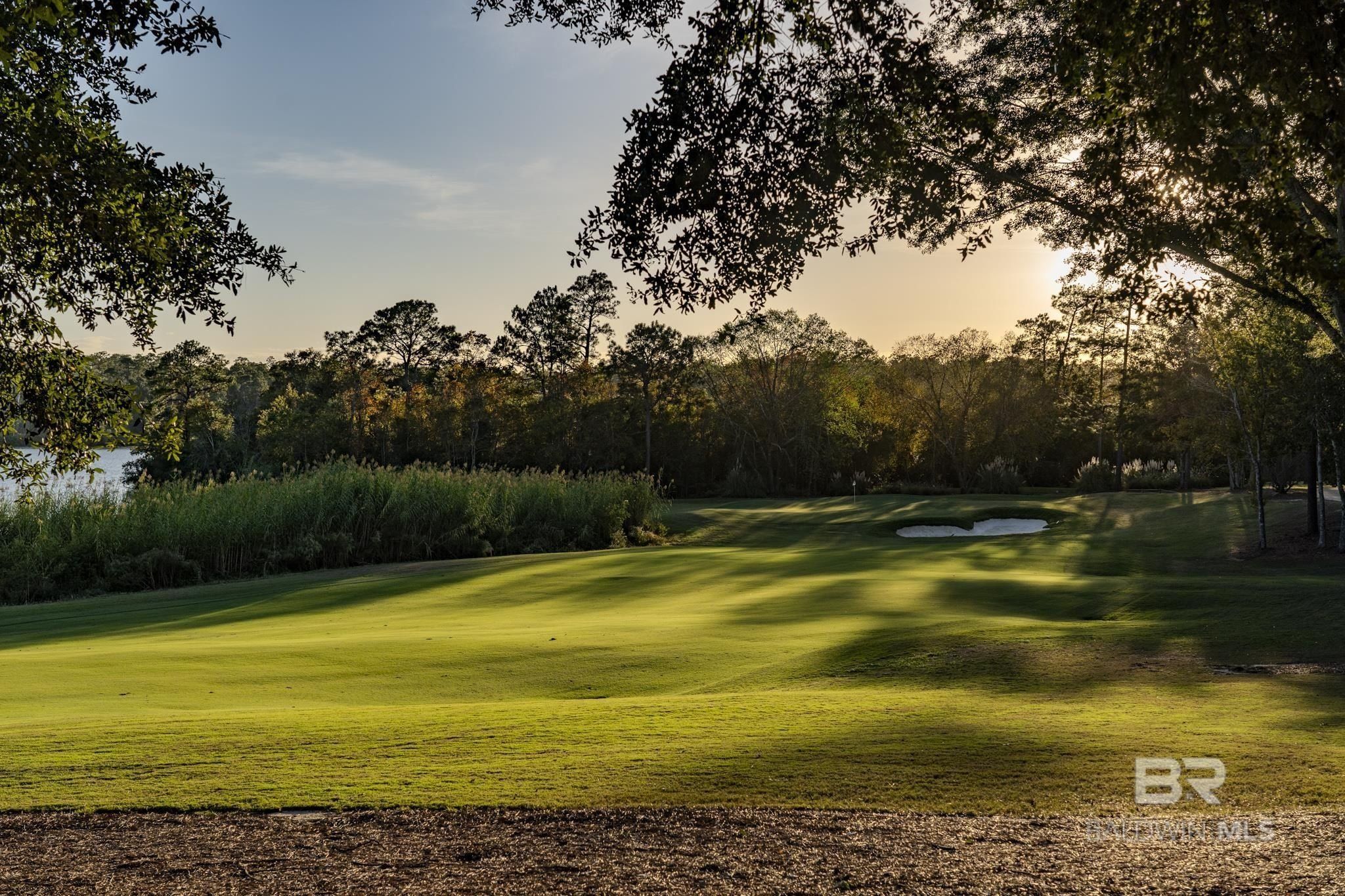 17169 S Chapel Grove. Loxley, AL 36551