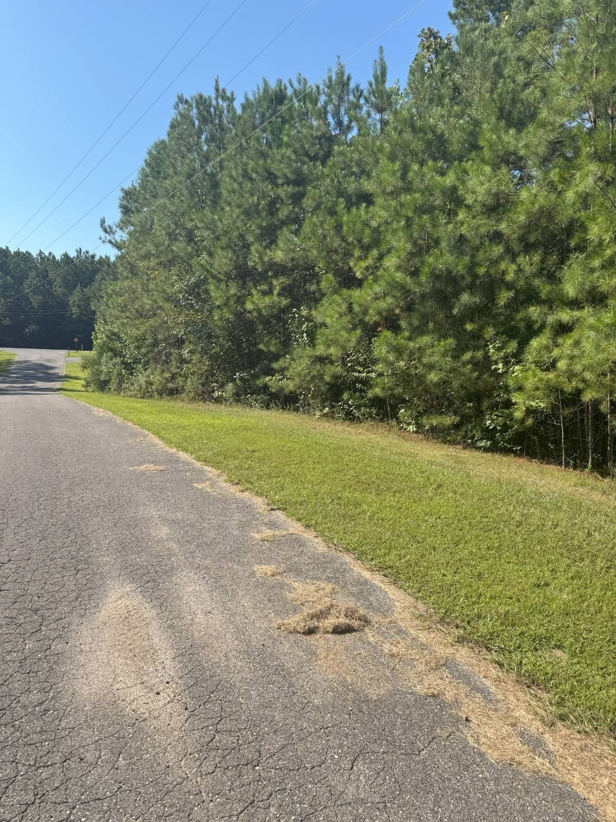 121 The Preserve. Sylacauga, AL 35150