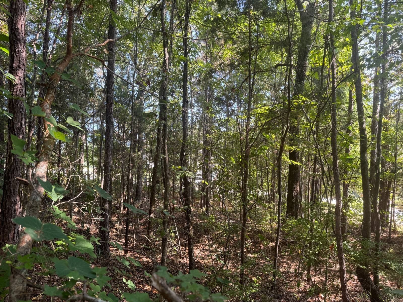 232  Flagstone Pl. Auburn, AL 36830