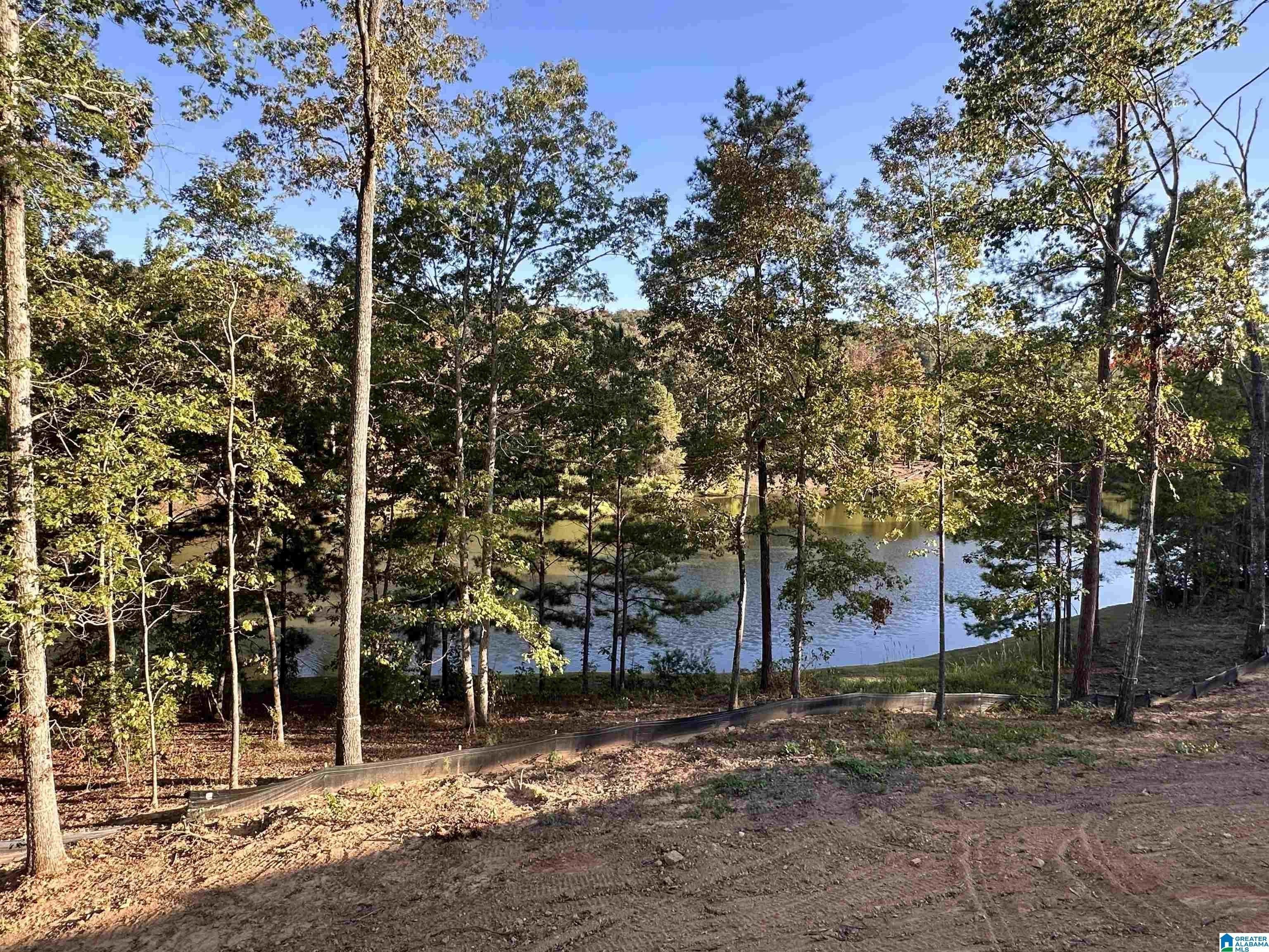 4037 Laurel Lakes Way. Helena, AL 35022