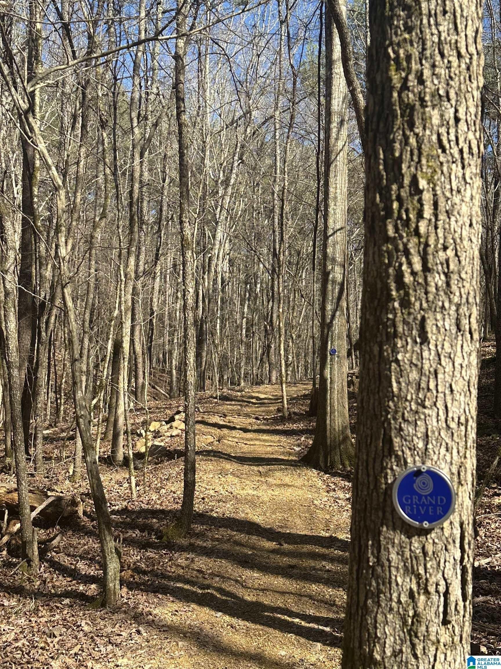 2004 Wohali Drive. Leeds, AL 35094