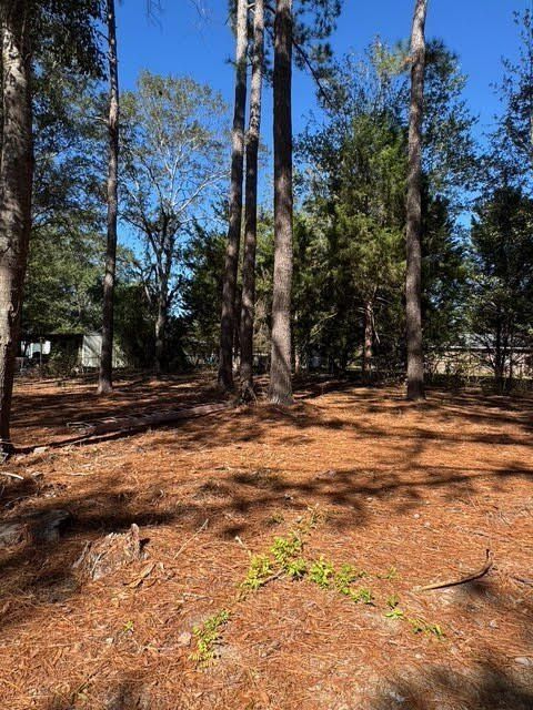 109 Lillian. Opp, AL 36467