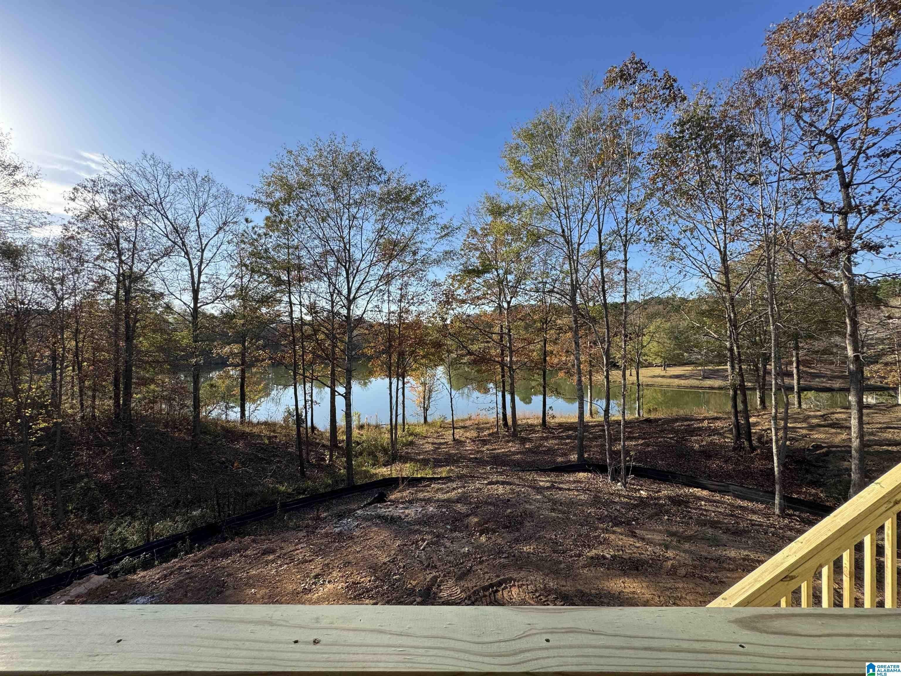 620 Emerald Trace. Chelsea, AL 35043