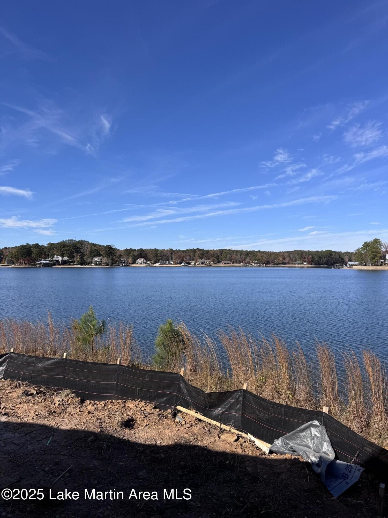 300 Tahiti Trl. Dadeville, AL 36853