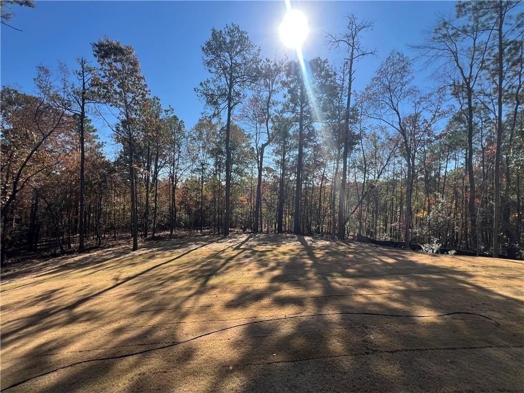 257 Lee Road 2159. Opelika, AL 36804