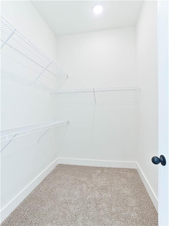 4004 Blackberry Lane. Auburn, AL 36830