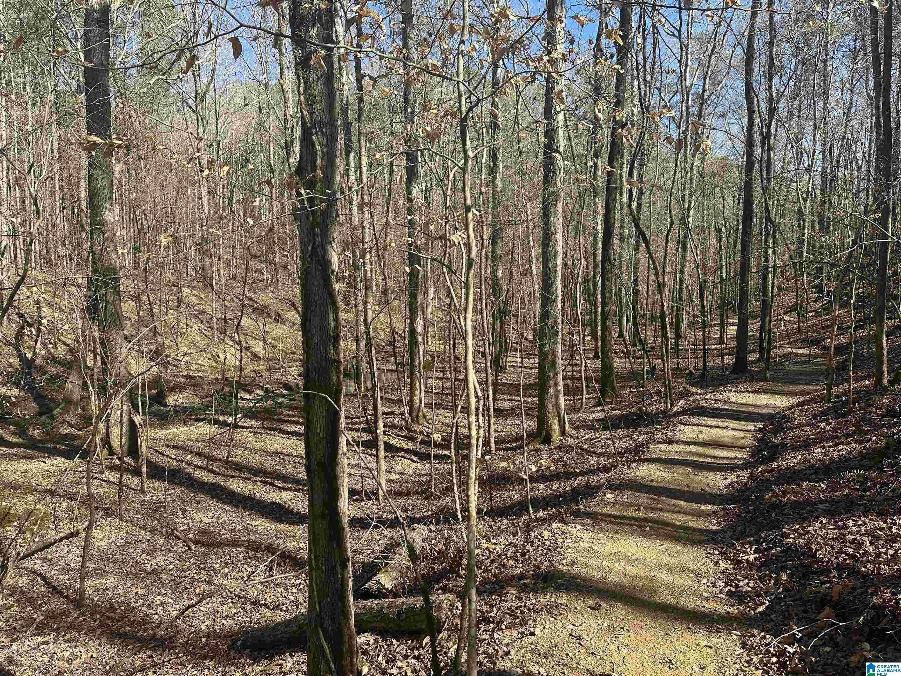 2008 Wohali Drive. Leeds, AL 35094