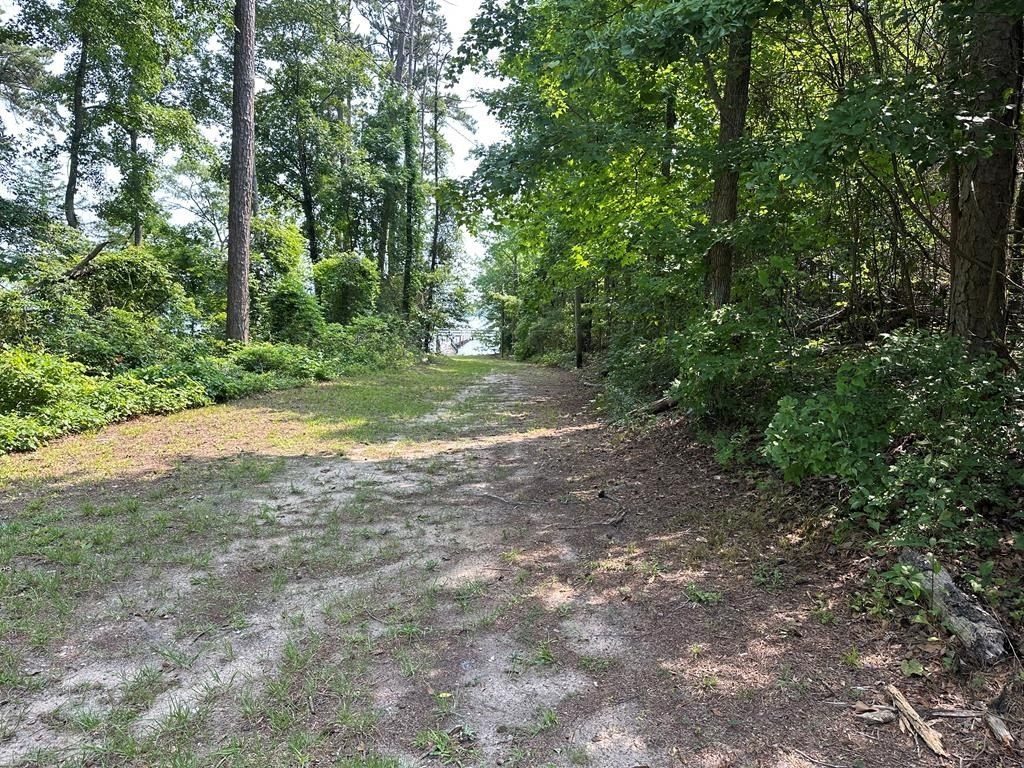 340 Douglas Drive. Abbeville, AL 36310