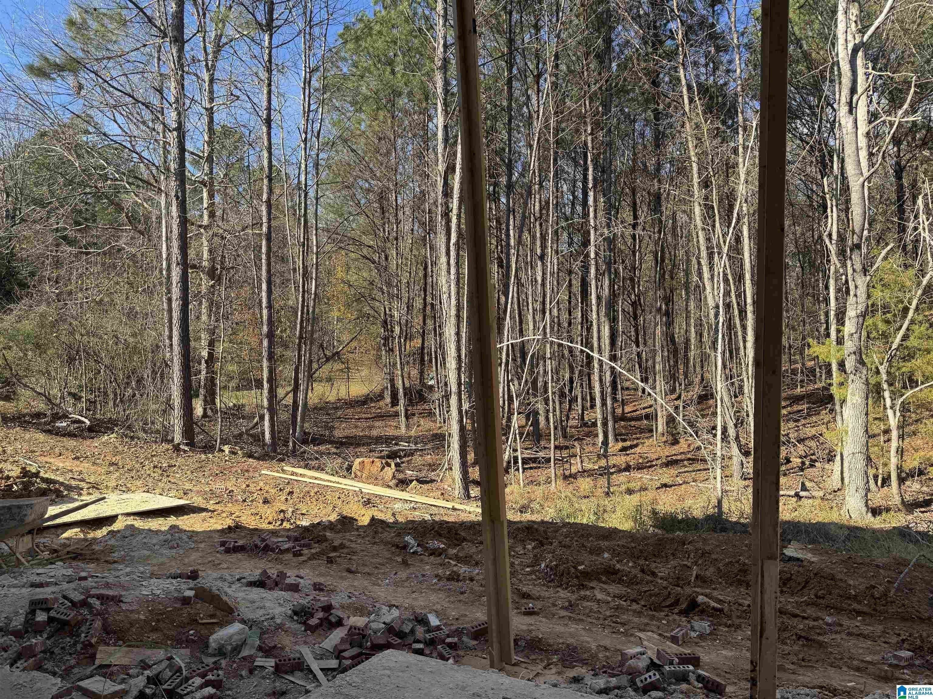 323 Emerald Lane. Chelsea, AL 35043