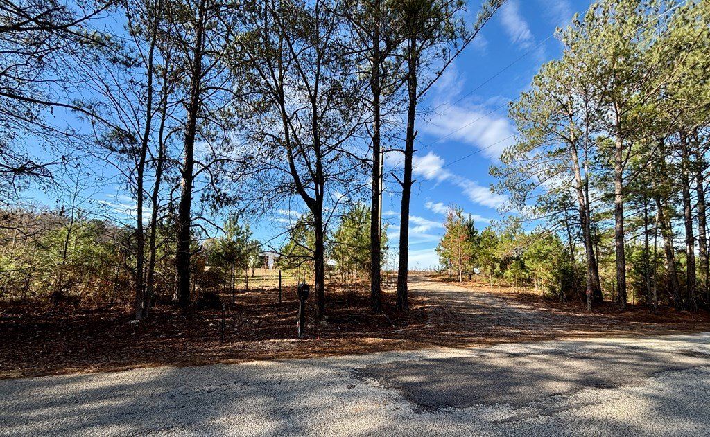 387 Sharon Drive. Abbeville, AL 36310