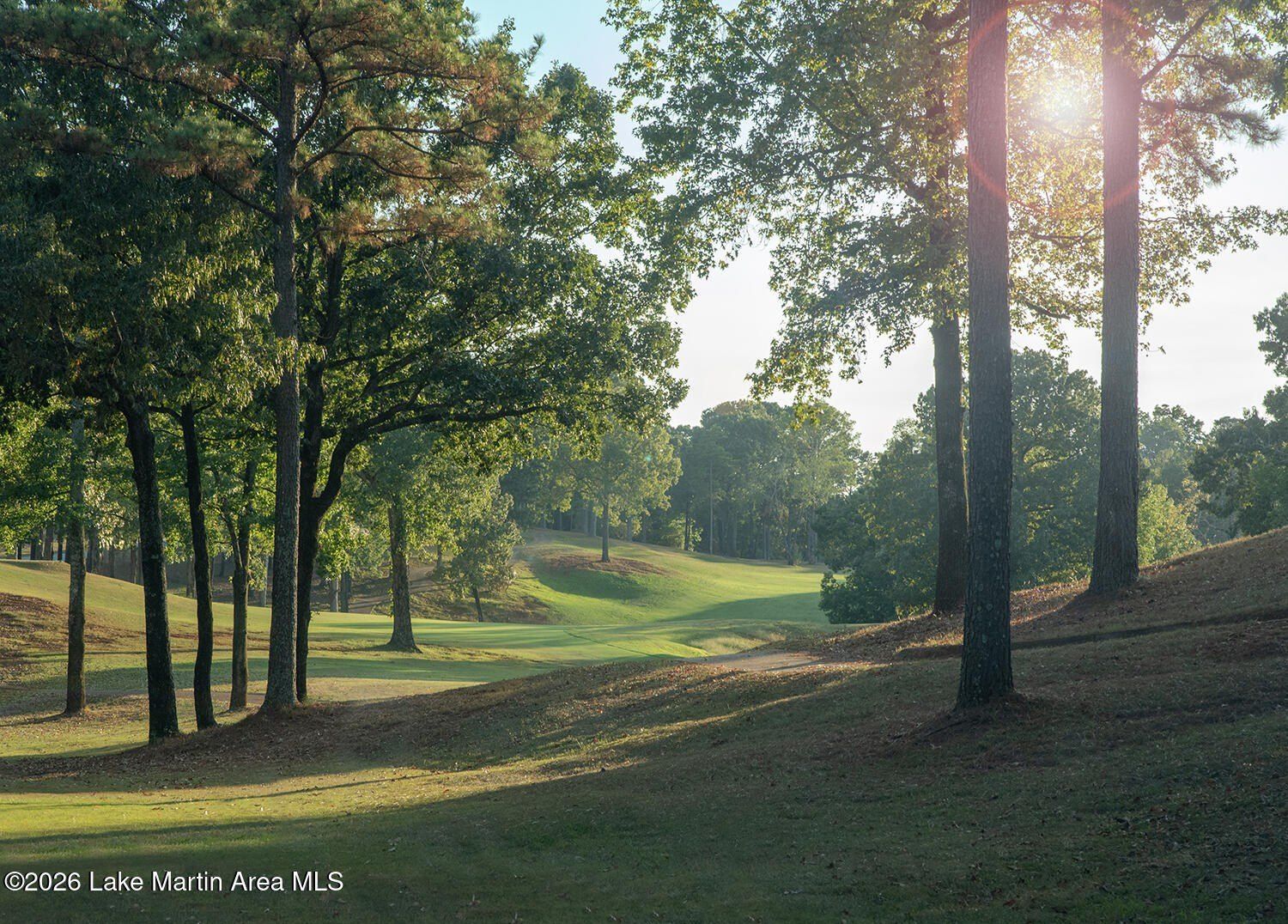 34 Turkey Trot Rd. Dadeville, AL 36853