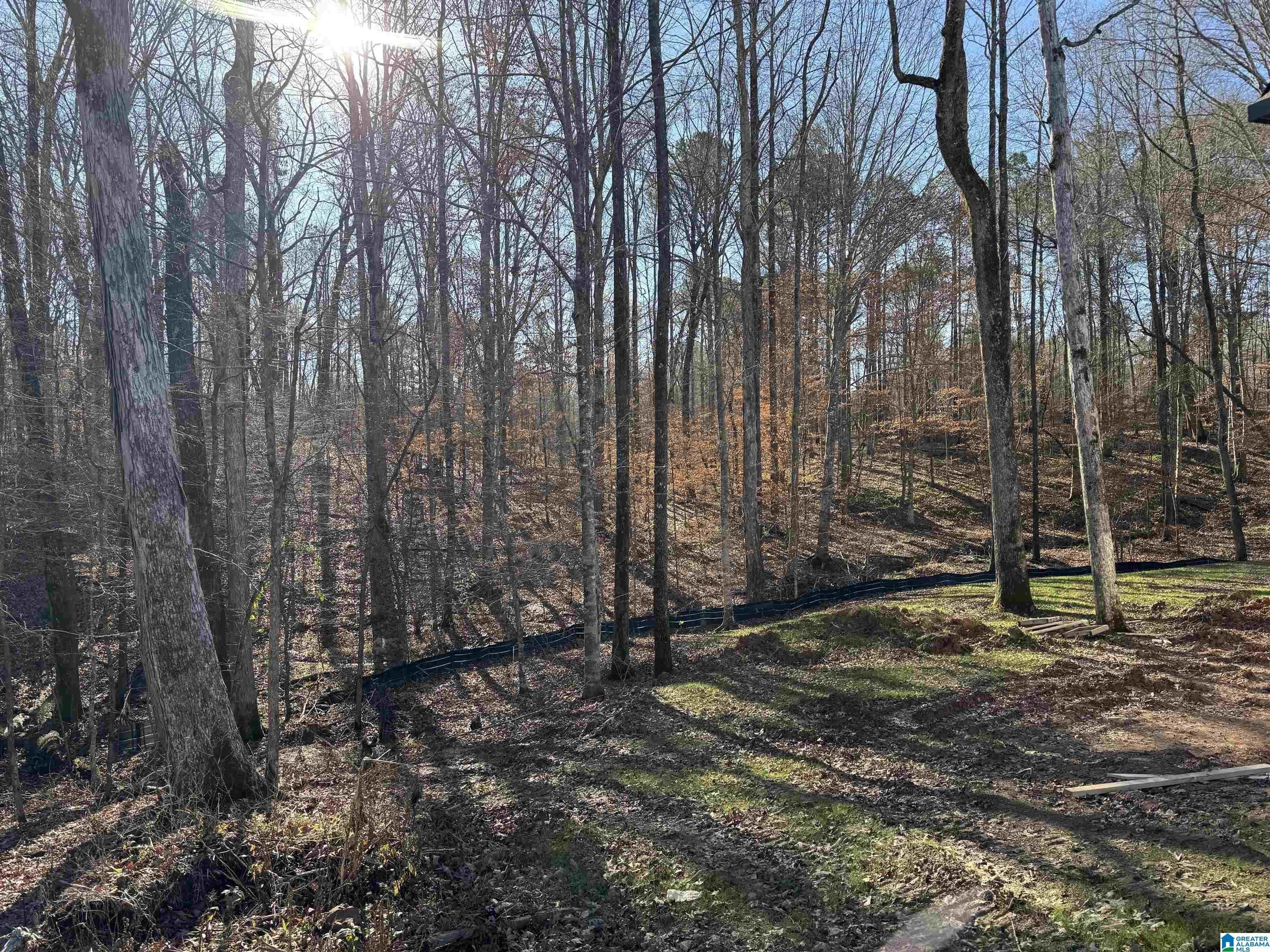 657 Lime Creek Way. Chelsea, AL 35043