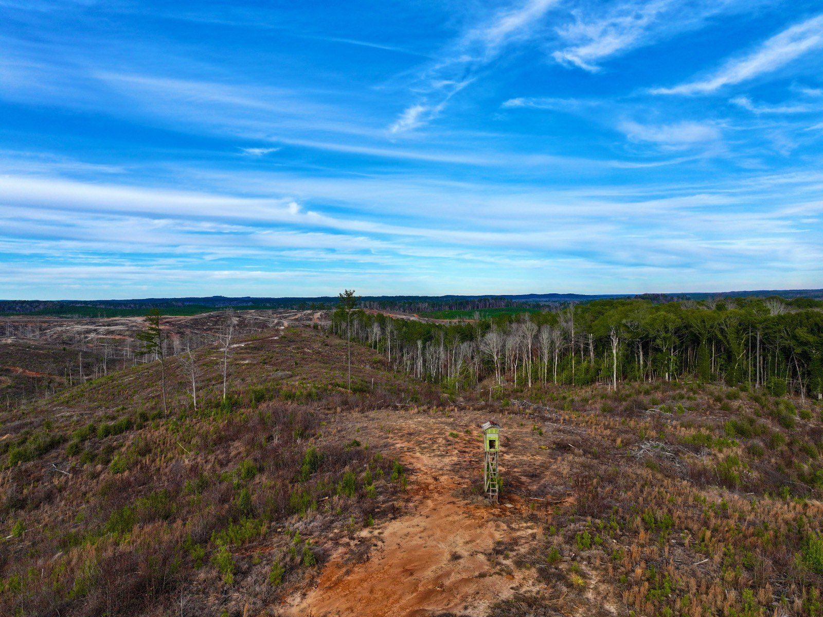 5575 11 Mile Post Road. Whatley, AL 36482