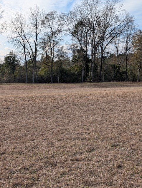 0 Iris Road. Dothan, AL 36301