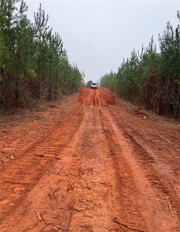 4982 Lee Road 254. Salem, AL 36874