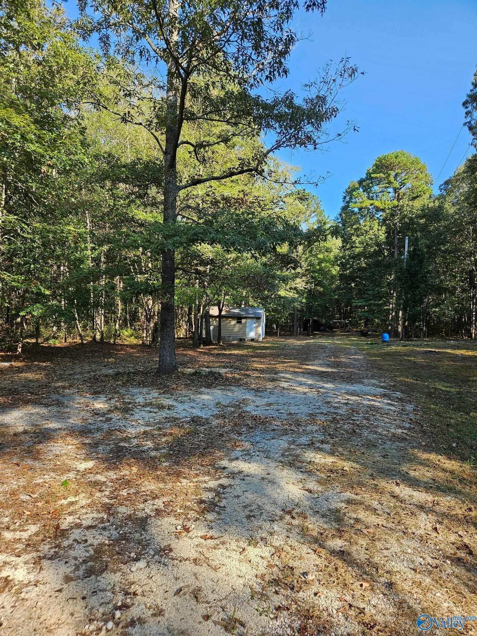 11008 County Road 121. Valley Head, AL 35989