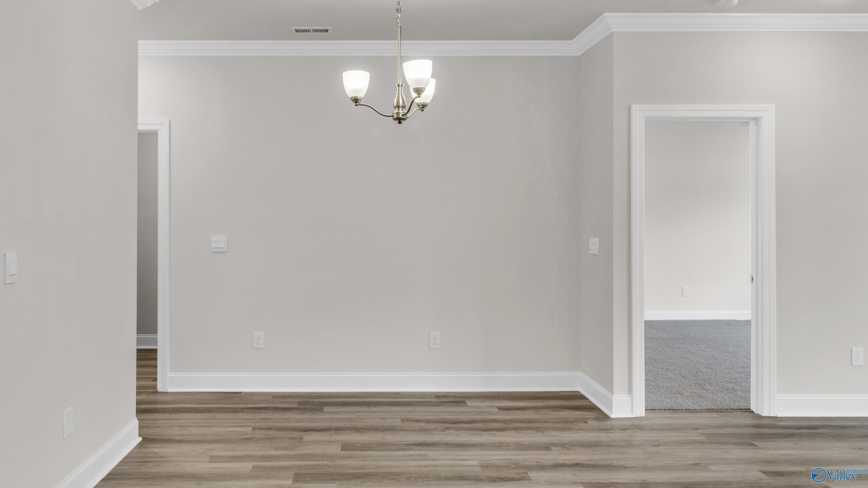 28116 Saddle Springs Drive Nw. Madison, AL 35756