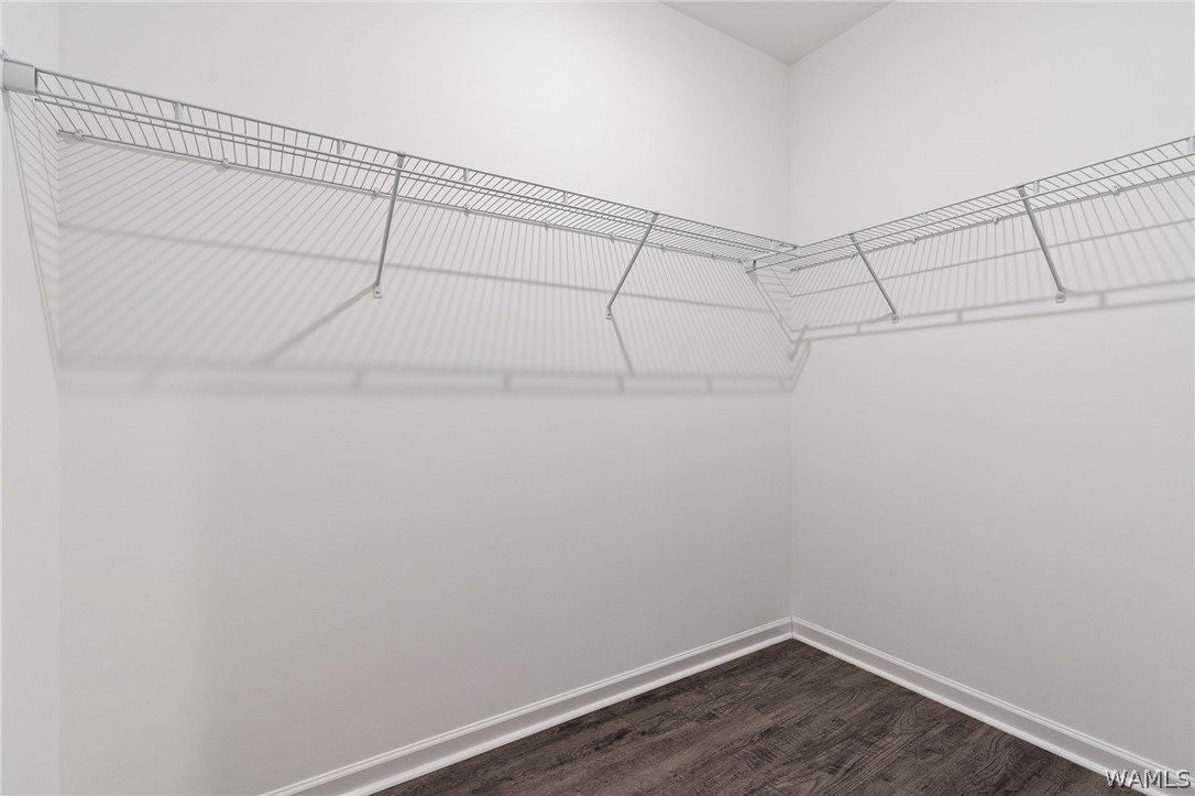 11271 Snapdragon Cove. Tuscaloosa, AL 35405