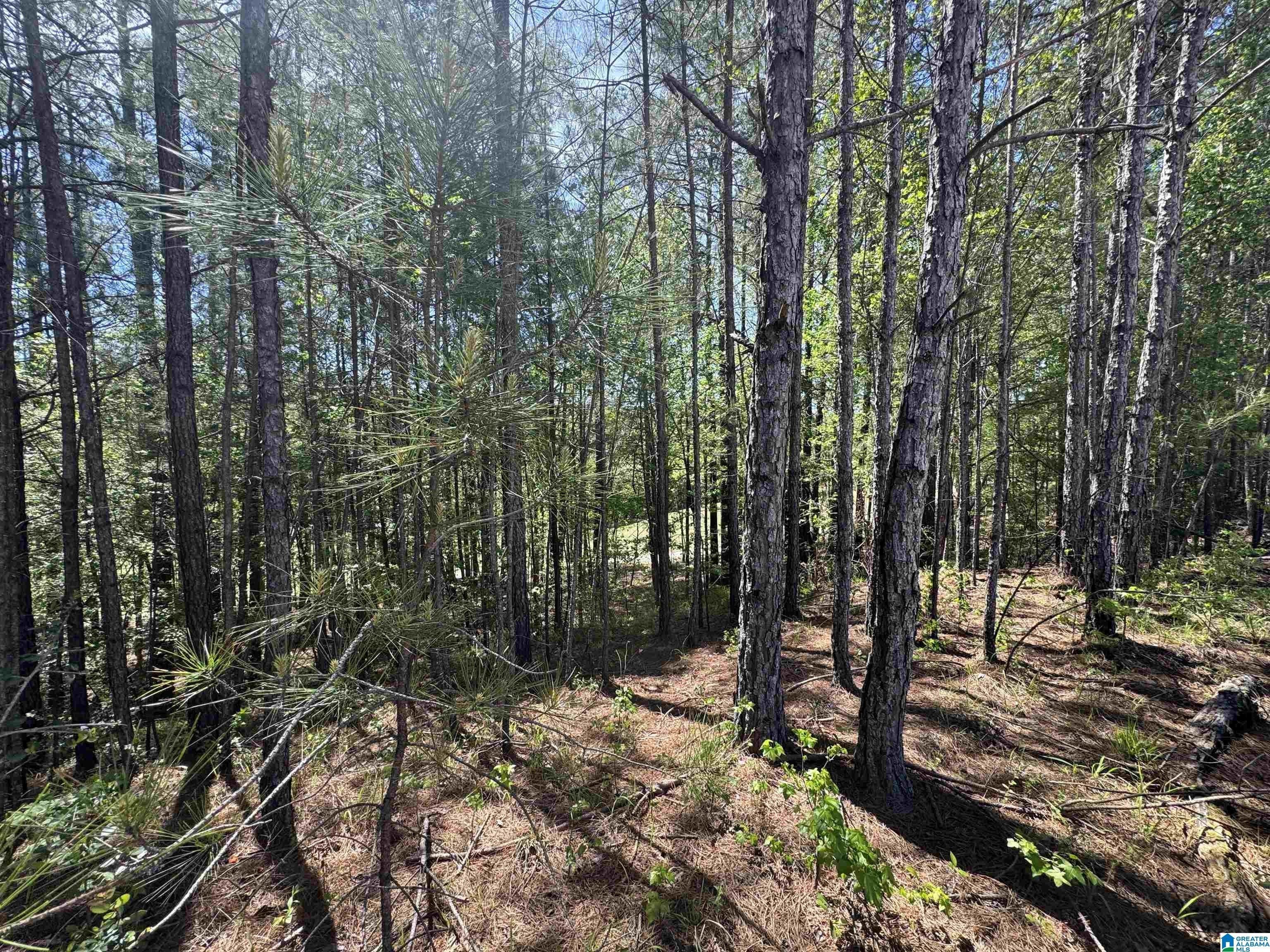 141 Glengerry Drive. Pelham, AL 35124