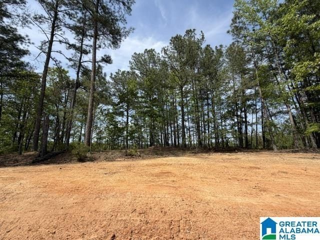 5010 Laurel Lakes Terrace. Helena, AL 35022