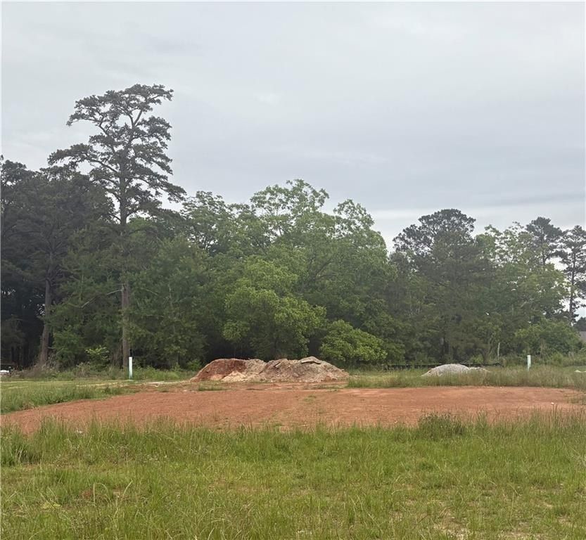 1025 Lee Road 213. Phenix City, AL 36870