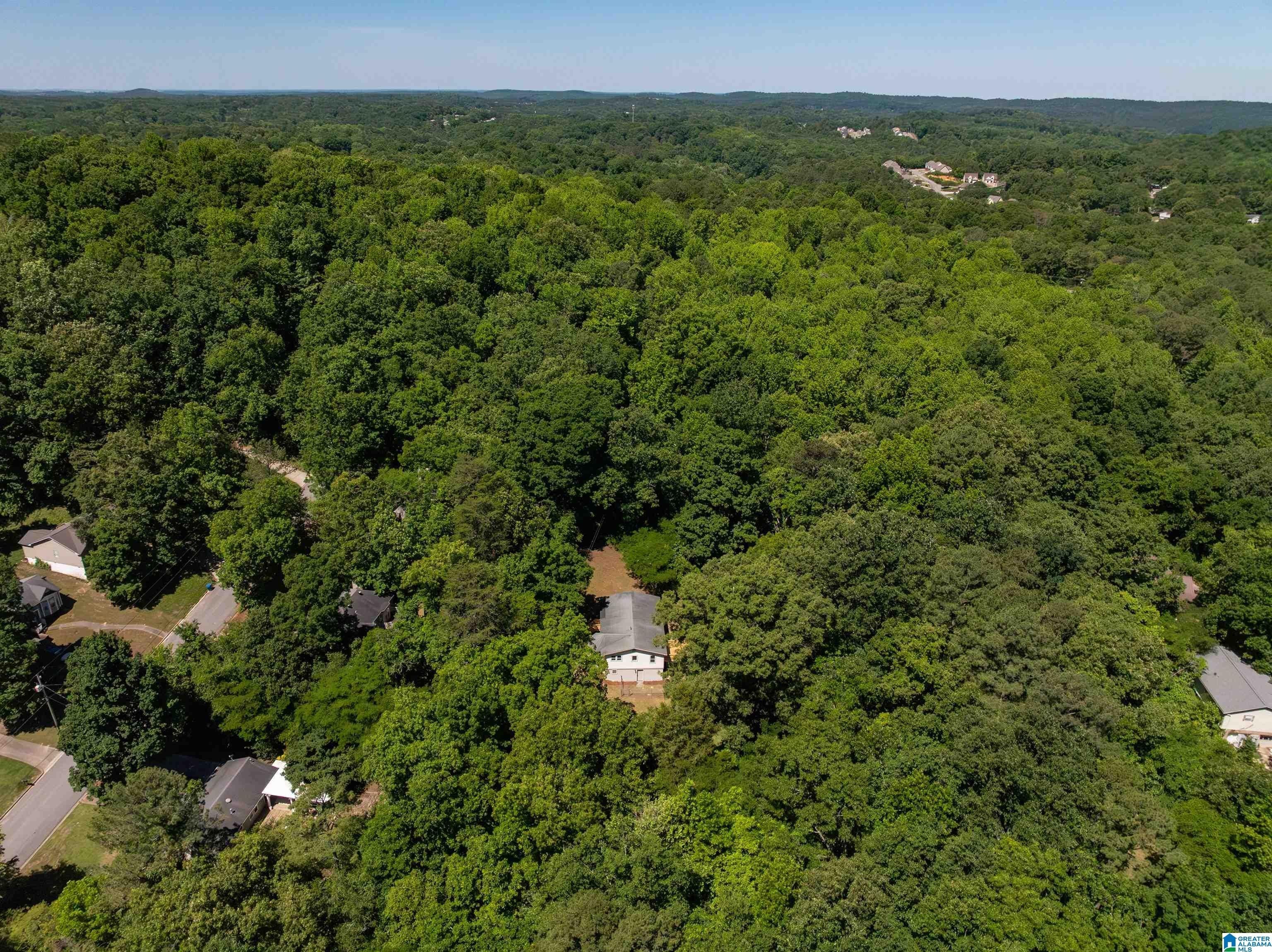 Willow Ridge Lane. Pinson, AL 35126
